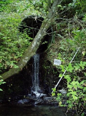 A photo showing the existing Unnamed Tributary to Soosette Creek culvert as it crosses under SR 18 that does not allow fish to pass.
