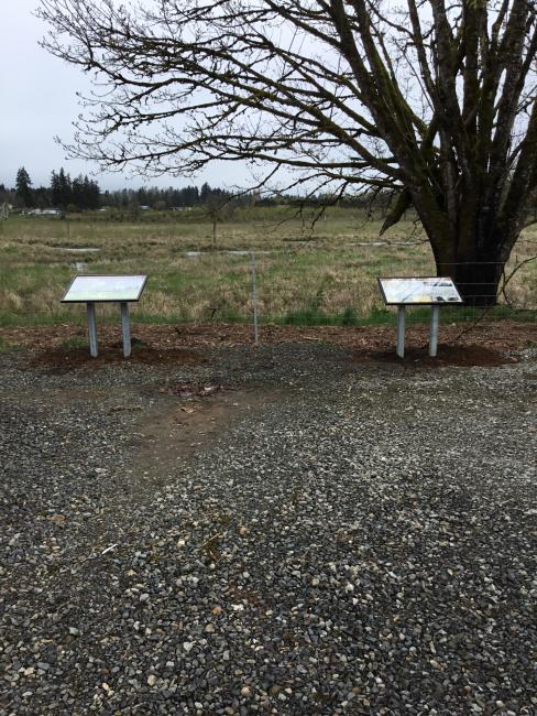 Patterson Swale markers