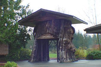 Photo of Smokey Point safety rest area on northbound I-5 Photo of Smokey Point safety rest area on northbound I-5