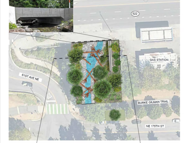 A conceptual graphic shows the location on the south side of SR 522 just east of 61st Avenue Northeast in Kenmore where WSDOT will build a fish-passable structure for Cat Whisker Creek. The graphic shows the creek with woody material placed for fish habitat and trees on the banks of the creek.