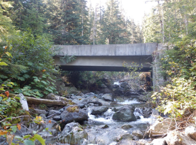A photo of the SR 542 Bagley Creek Bridge in Whatcom County