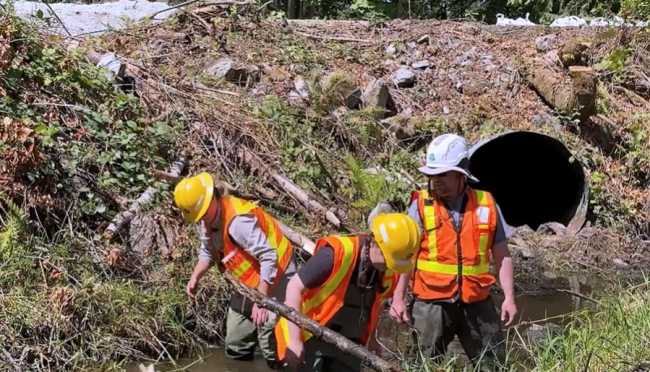 Three WSDOT employees in bright orange safety vest, clean Sexton Creek out creek, preparing for elctro-fishing.
